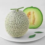 곰곰 머스크 멜론