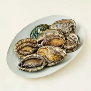 완도맘 산지직송 활전복